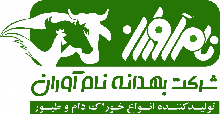 behdanenamavaran.com